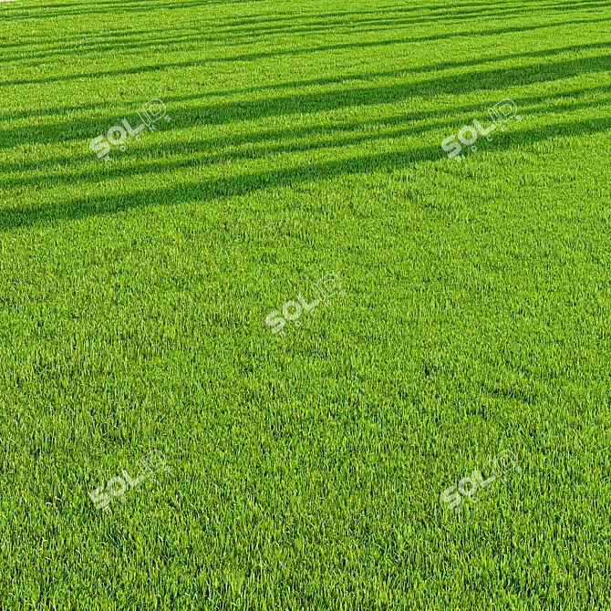 Pro Landscaping Grass Bundle 3D model image 3