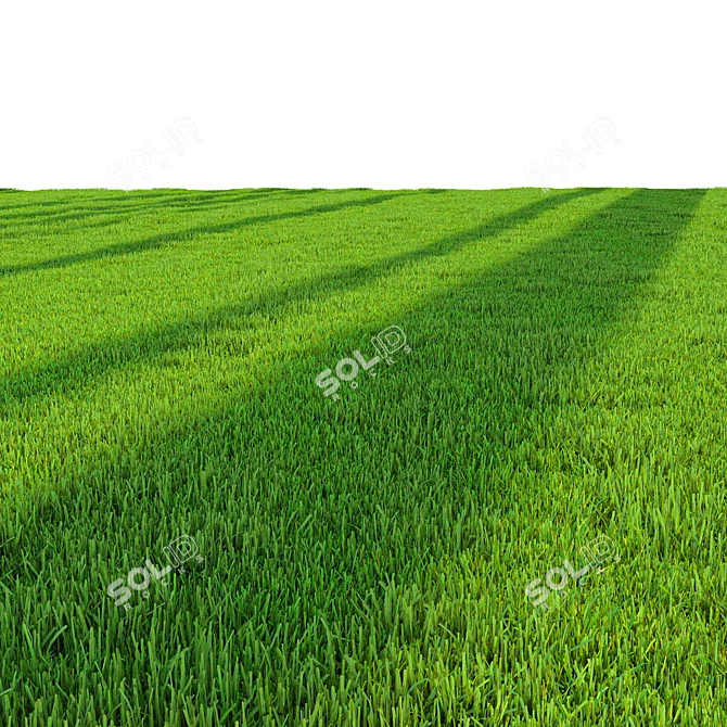 Pro Landscaping Grass Bundle 3D model image 5