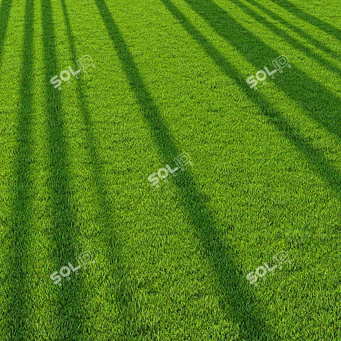 Pro Landscaping Grass Bundle 3D model image 6