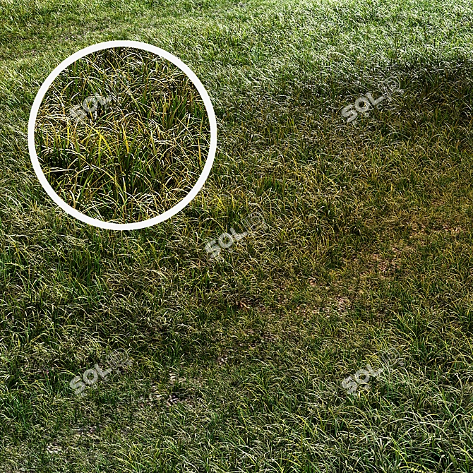  Summer Meadow 5x5m Landscaping Set 3D model image 1