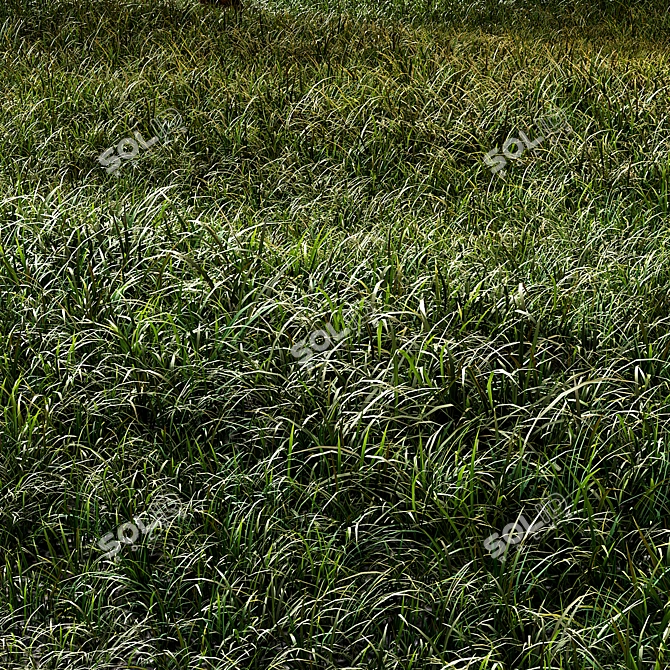  Summer Meadow 5x5m Landscaping Set 3D model image 2