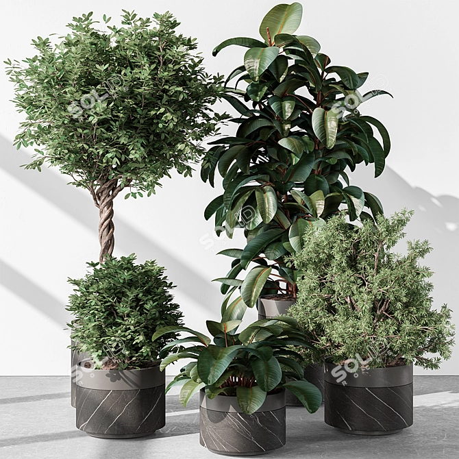  Tree in Pot: Indoor Plant 3D model image 1