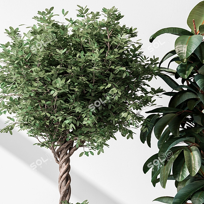  Tree in Pot: Indoor Plant 3D model image 3