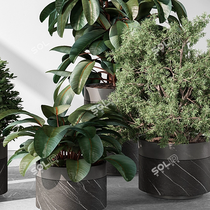  Tree in Pot: Indoor Plant 3D model image 4