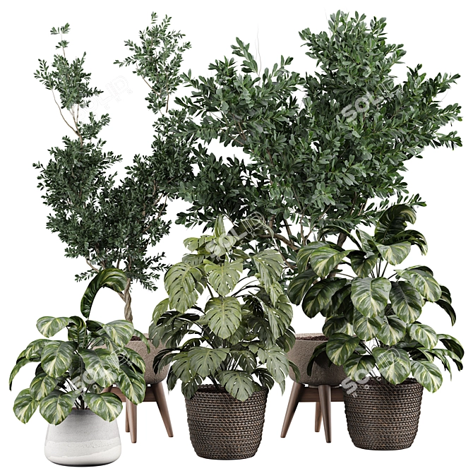 Modern Indoor Plant 3D Model 3D model image 1