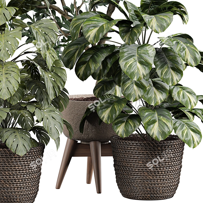 Modern Indoor Plant 3D Model 3D model image 3