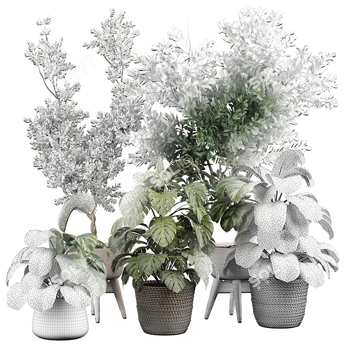 Modern Indoor Plant 3D Model 3D model image 5