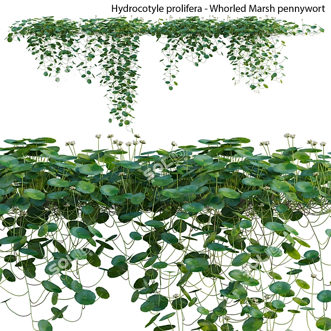 All-In-One 3D Plant Model 3D model image 1