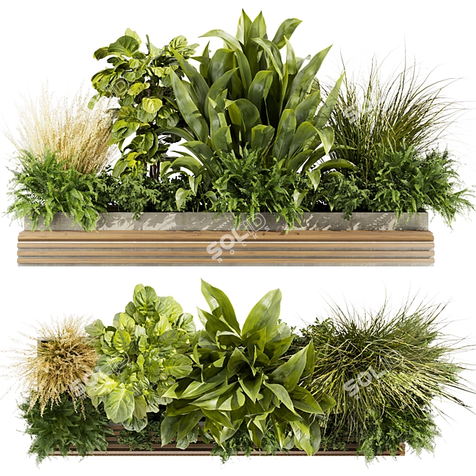 High-Quality Plant Collection Vol. 496 3D model image 1