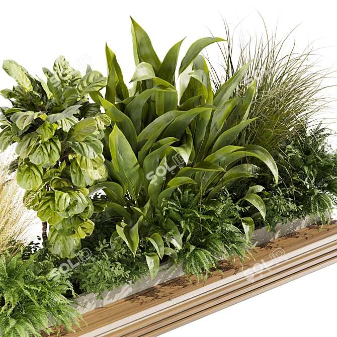 High-Quality Plant Collection Vol. 496 3D model image 2