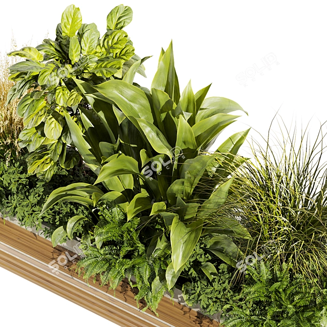 High-Quality Plant Collection Vol. 496 3D model image 3