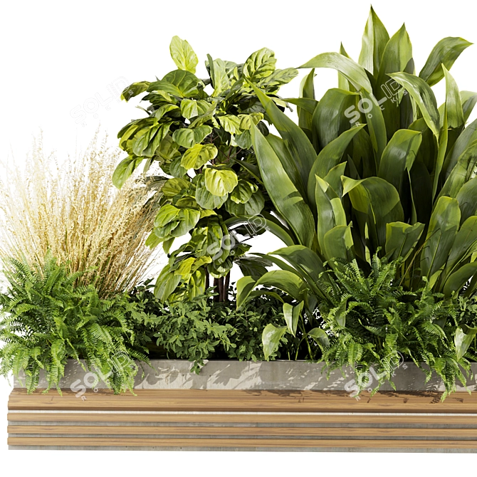 High-Quality Plant Collection Vol. 496 3D model image 4