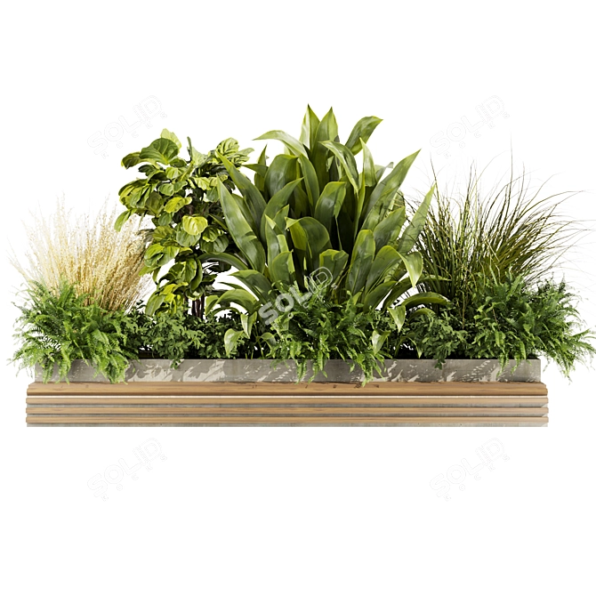 High-Quality Plant Collection Vol. 496 3D model image 5