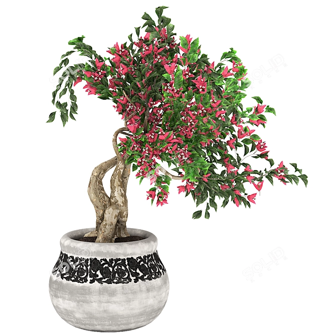 Bougainvillea Tree Pot 3D Model 3D model image 1