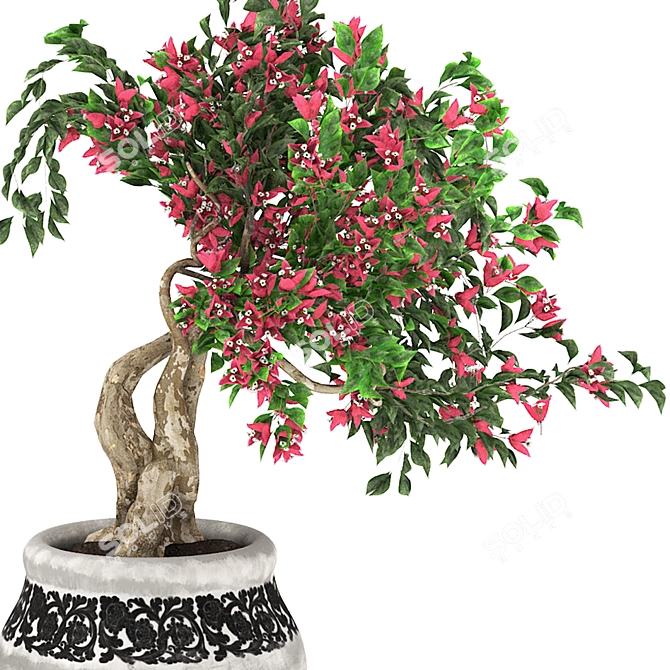 Bougainvillea Tree Pot 3D Model 3D model image 2