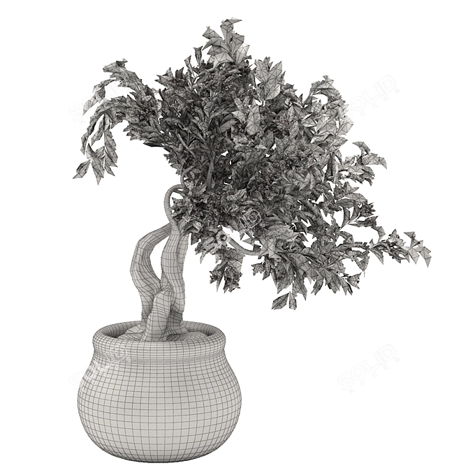 Bougainvillea Tree Pot 3D Model 3D model image 3