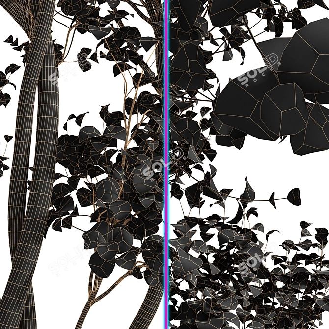 Maple 3D Models Set 3D model image 7