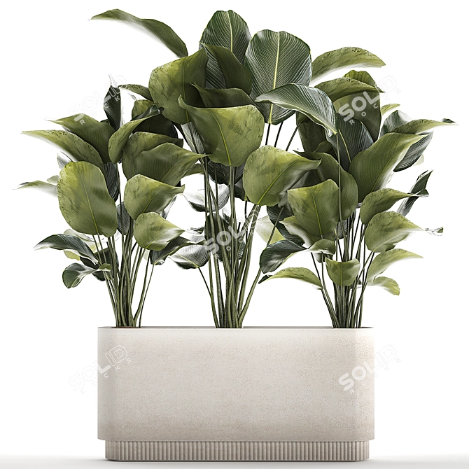 Exotic Plant Set in Concrete Pot 3D model image 1