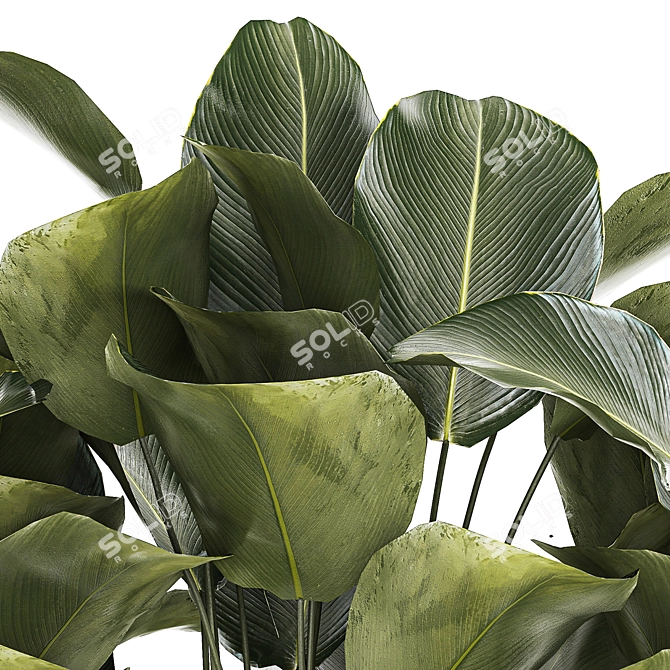 Exotic Plant Set in Concrete Pot 3D model image 2