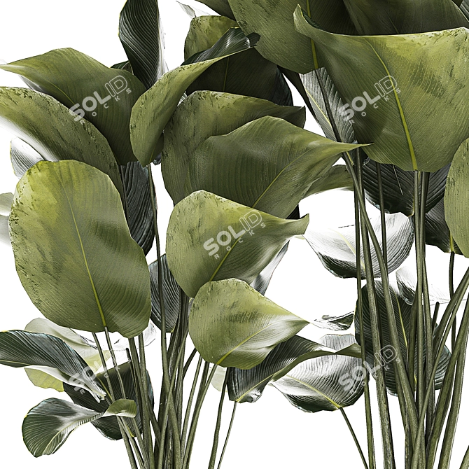 Exotic Plant Set in Concrete Pot 3D model image 3