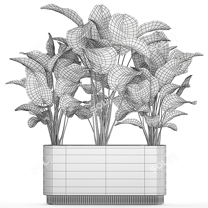 Exotic Plant Set in Concrete Pot 3D model image 6