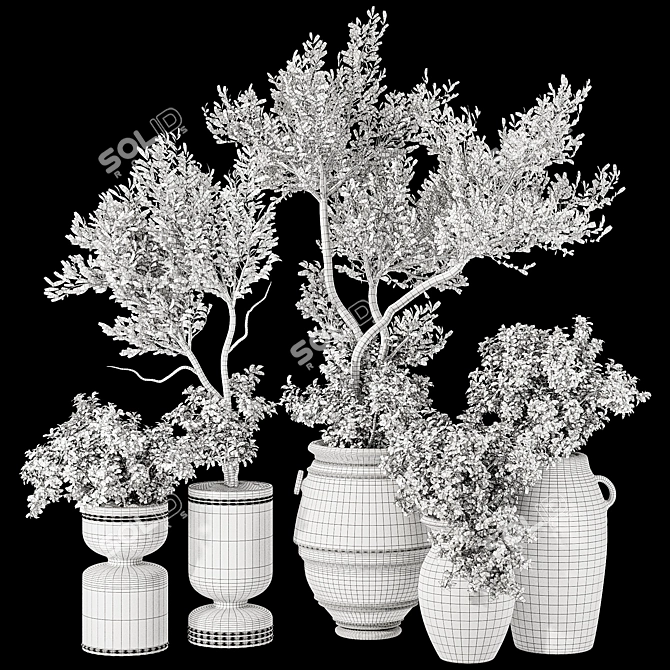 Indoor Bonsai Olive Tree in Pot 3D model image 7