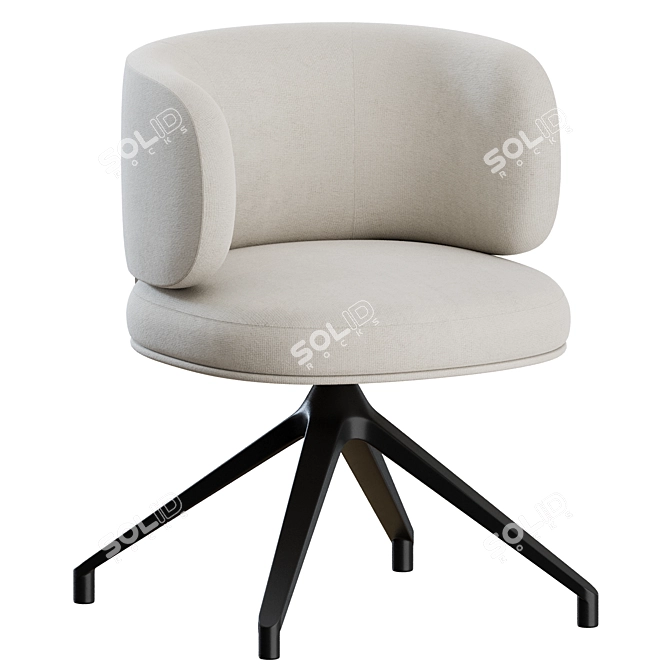 Gallotti&Radice Swivel Chair 3D Model 3D model image 5