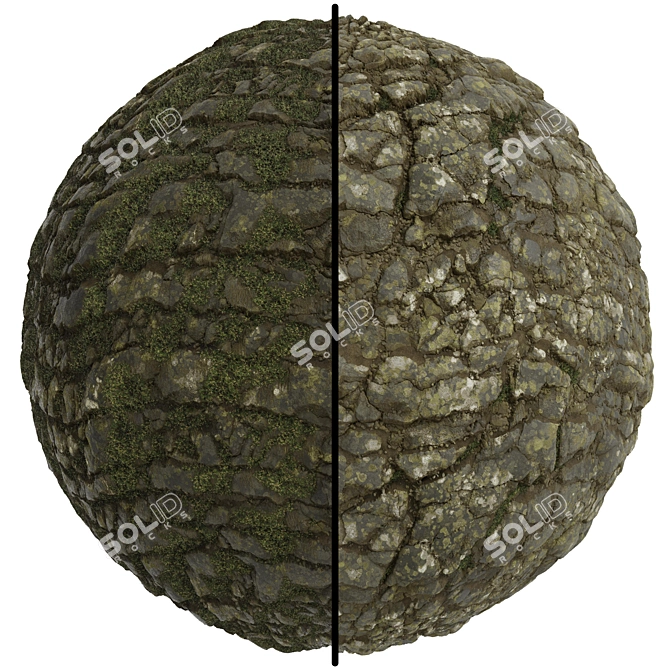 Rock Stone Covering Texture Set 3D model image 1