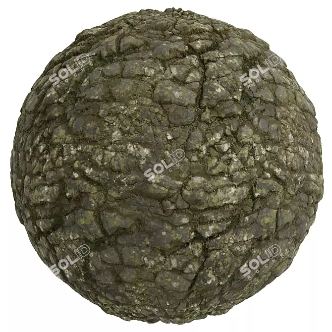 Rock Stone Covering Texture Set 3D model image 2