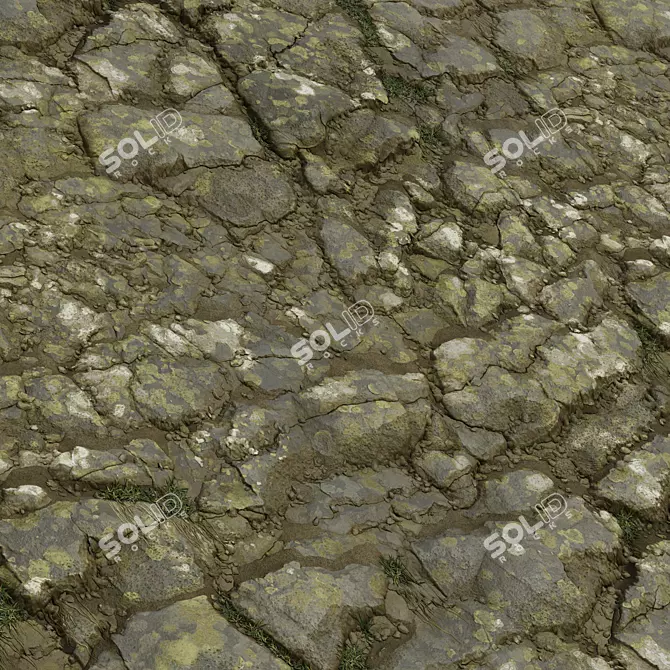 Rock Stone Covering Texture Set 3D model image 3