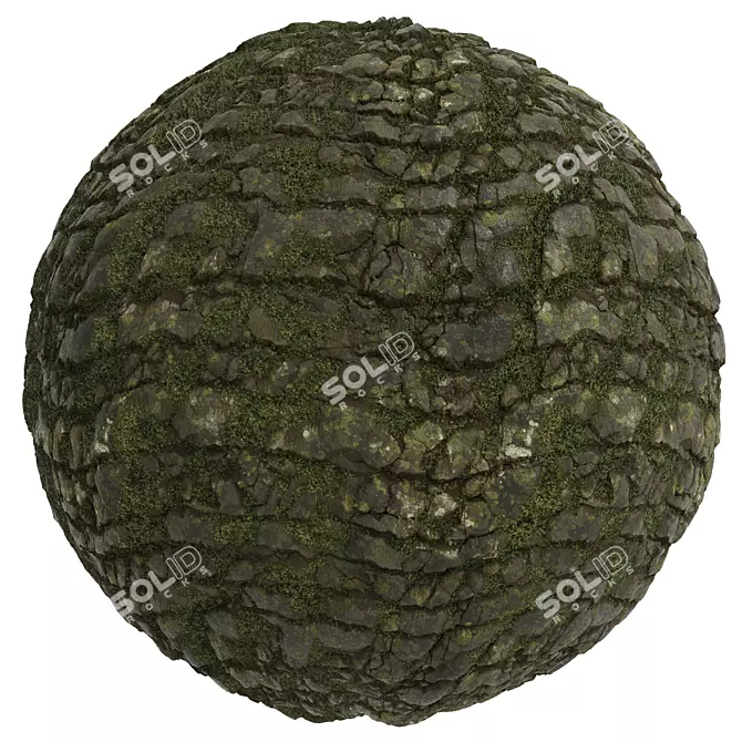 Rock Stone Covering Texture Set 3D model image 4