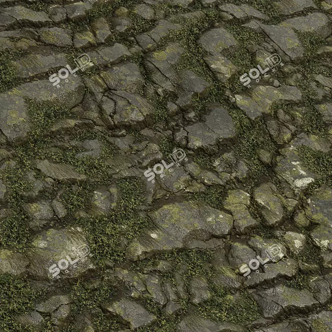 Rock Stone Covering Texture Set 3D model image 5