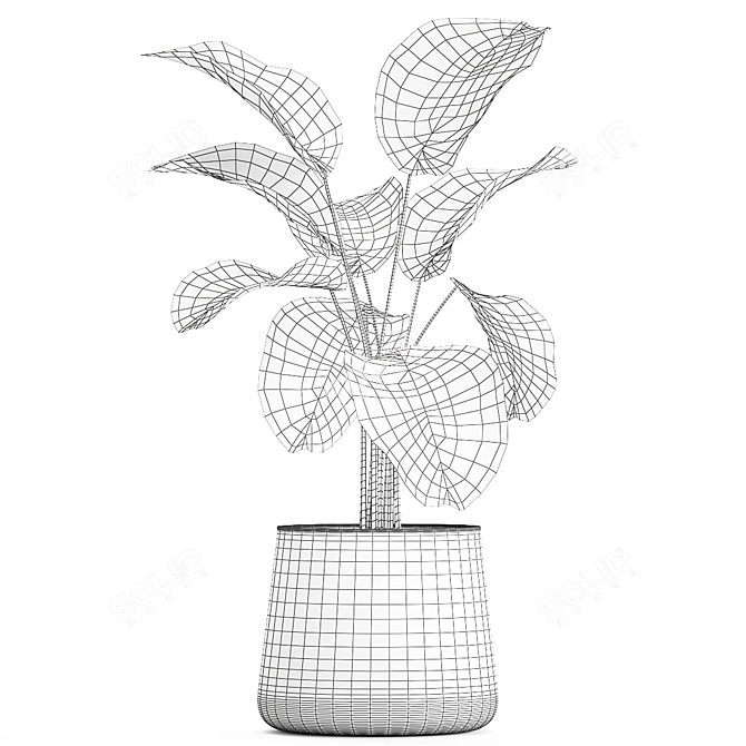 Exotic Tropical Plant Ensemble 3D model image 7