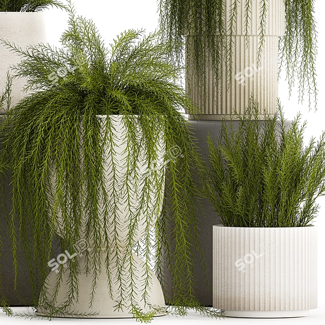 Tropical Asparagus Plant Set 3D model image 2