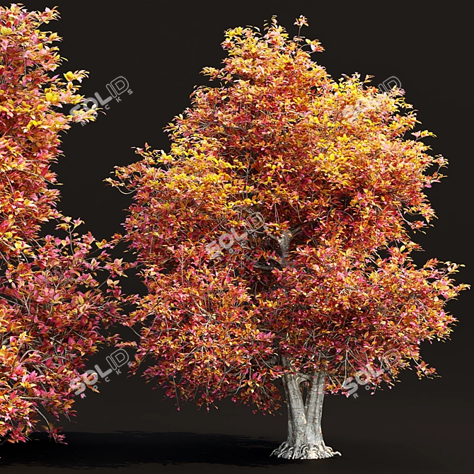 PBR Natural Tree 3D Model 3D model image 1