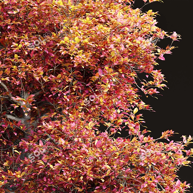 PBR Natural Tree 3D Model 3D model image 2