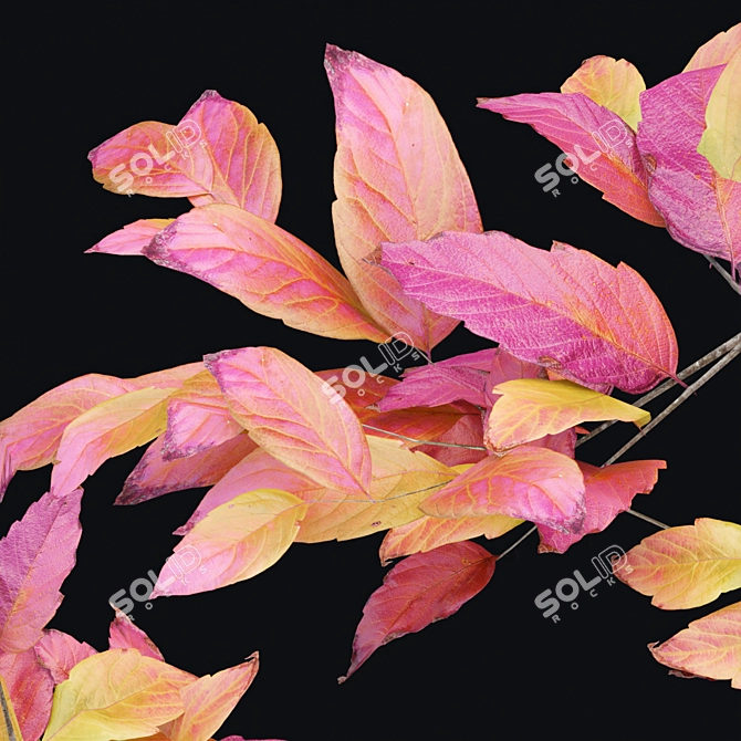 PBR Natural Tree 3D Model 3D model image 3