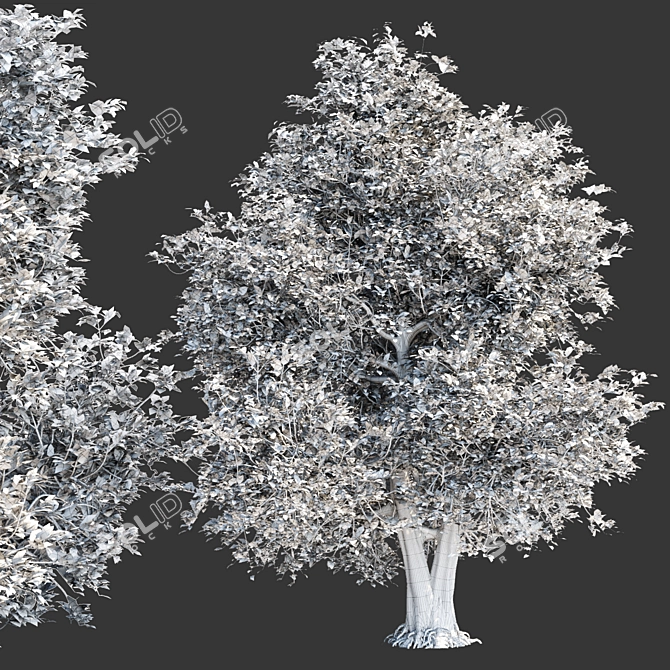 PBR Natural Tree 3D Model 3D model image 4