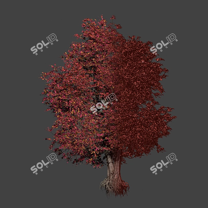PBR Natural Tree 3D Model 3D model image 5