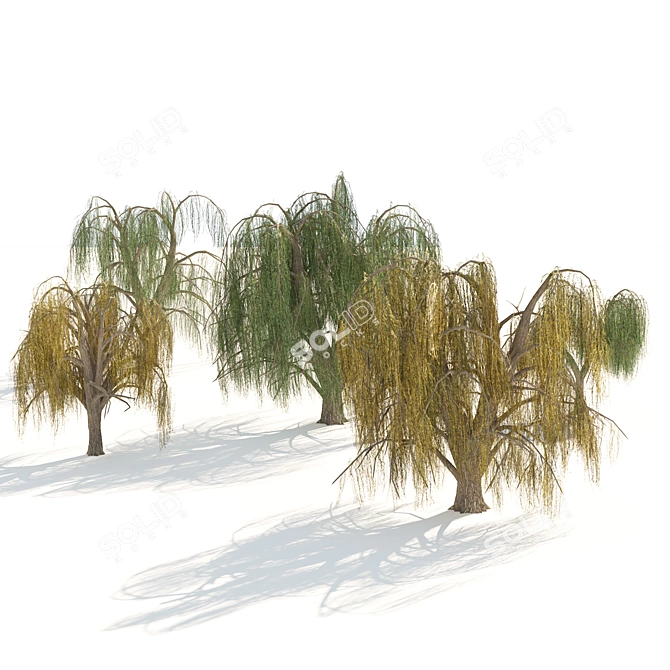 Animated Weeping Willow Tree Set 3D model image 4