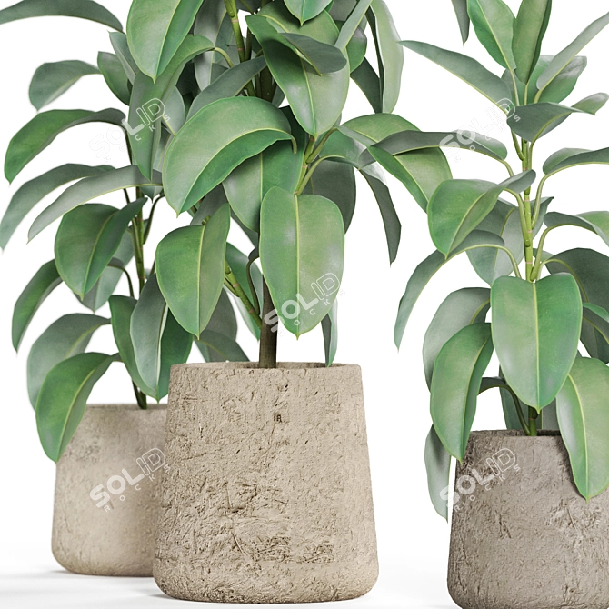 Botanical Bundle 950 Varieties 3D model image 2