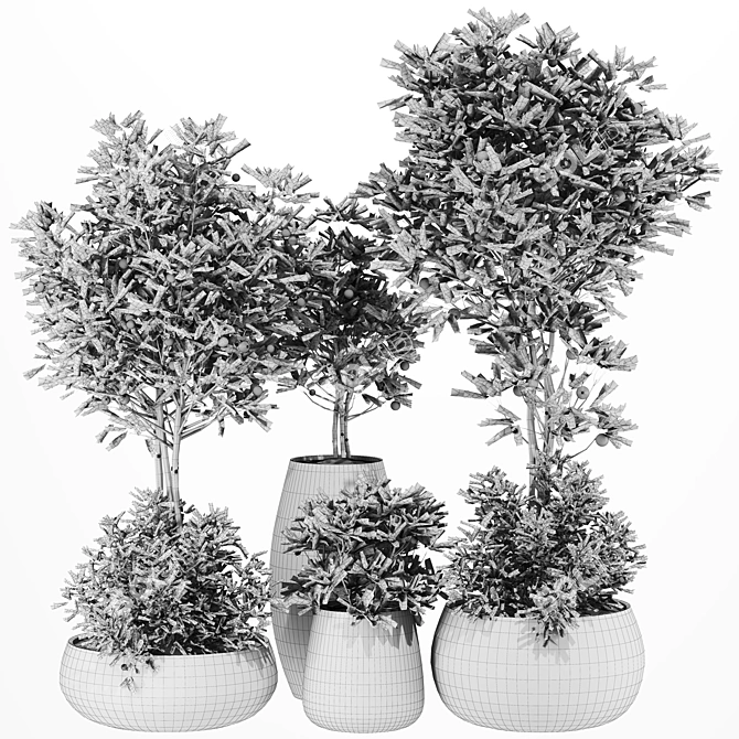 48 Potted Plants Bundle - Vray 3D model image 2