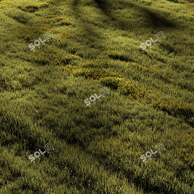 Field Meadow Scene with Scatter 3D model image 5