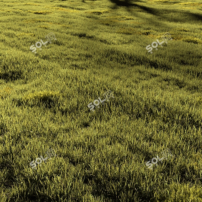 Field Meadow Scene with Scatter 3D model image 1