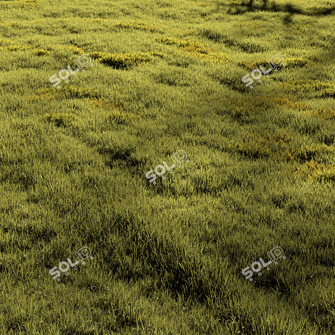 Field Meadow Scene with Scatter 3D model image 2