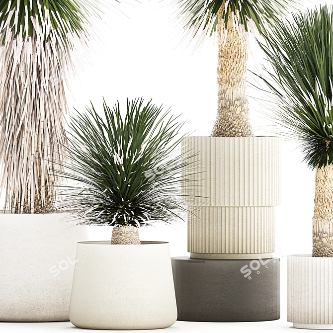 Exotic Yucca Plants in Stylish Pottery 3D model image 2