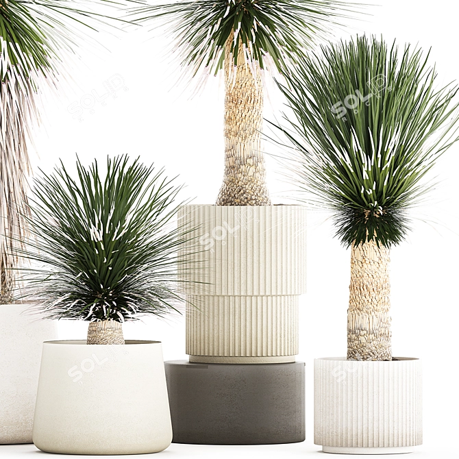 Exotic Yucca Plants in Stylish Pottery 3D model image 4