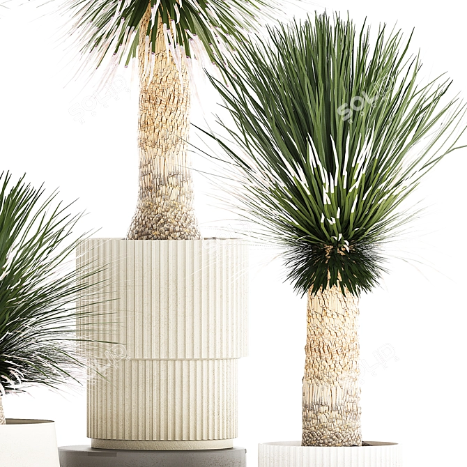 Exotic Yucca Plants in Stylish Pottery 3D model image 5