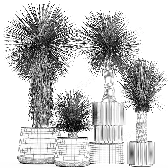 Exotic Yucca Plants in Stylish Pottery 3D model image 6