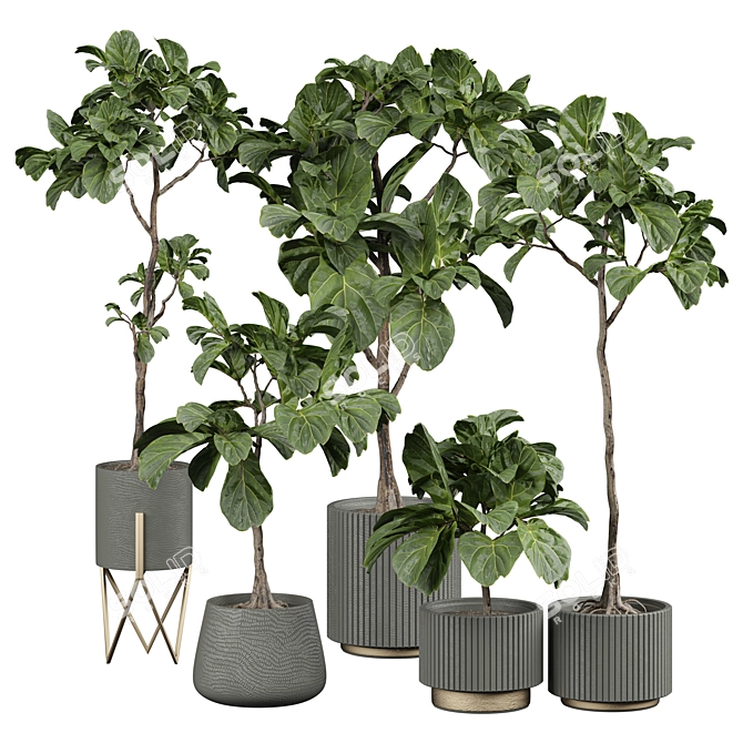 Lush Indoor Plant 3D Model 3D model image 1